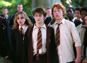  Harry Potter POA