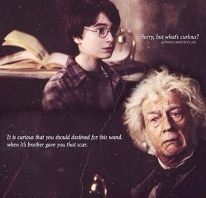  Harry Potter and the Philosopher's Stone Quote