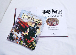  Harry Potter and the Sorcerer's Stone: The Illustrated Edition
