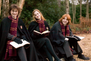  Hermione Harry and Ron