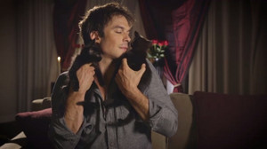  Ian and Kittens
