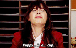  कुत्ते का बच्चा, पिल्ला in a Cup