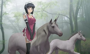  Siesta exploring the forest with a Beautiful Unicorn and her অশ্বশাবক