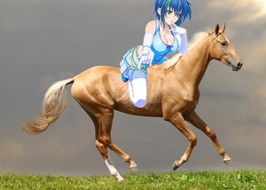  Xenovia Quarta riding on her Beautiful 帕洛米诺 Horse