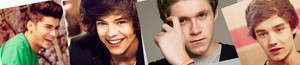  one direction banner