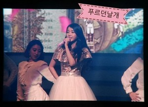  151129 아이유 'CHAT-SHIRE' 음악회, 콘서트 at Busan