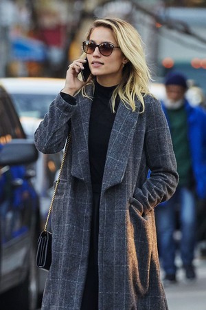 Dianna out in NYC