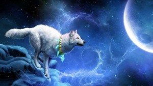 Elemental 狼, オオカミ