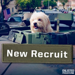  Enlisted Promos - New Recruit