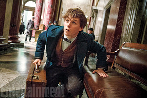  Fantastic Beast and Where to Find Them - First fotografias