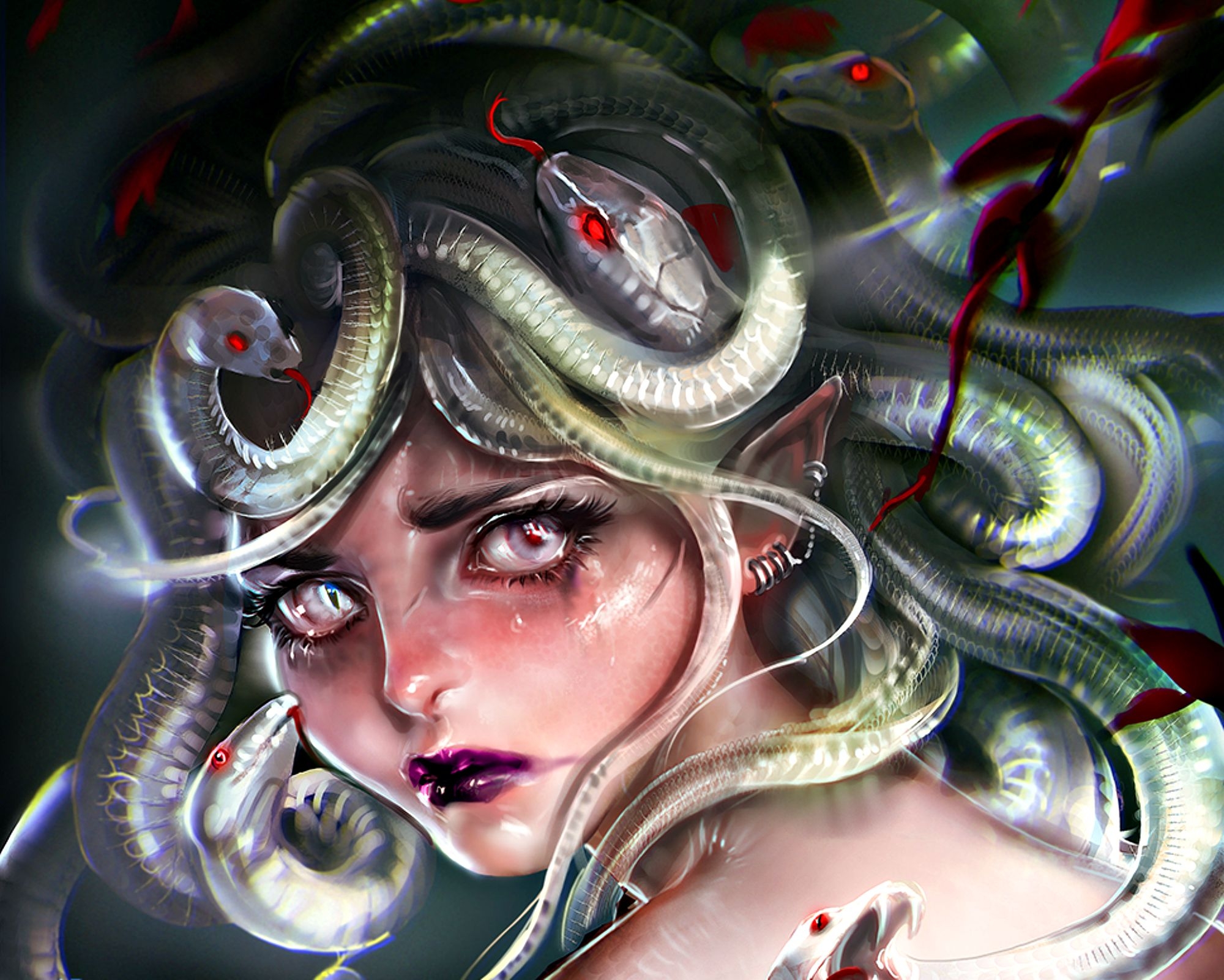 Medusa wallpaper by stonelady76  Download on ZEDGE  85b7