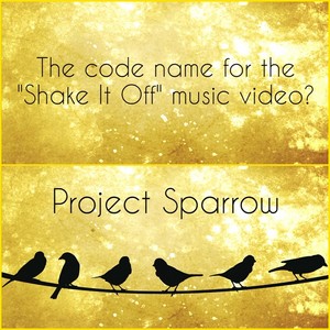  Shake it off (code name)