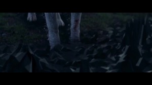  She loup (Falling To Pieces) {Music Video}