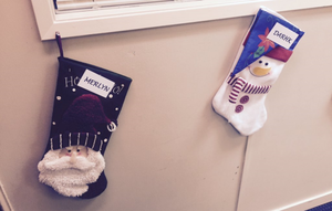  The arrow Production Office hanging up Team arrow stockings for navidad