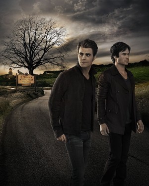  The Vampire Diaries Stefan and Damon Salvatore Season 7 Official Portrait