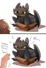  Toothless in a box! XD