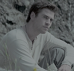  Gale
