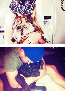  Parallels Stemily + chiens