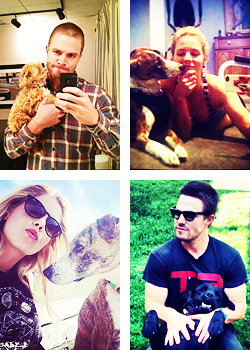  Parallels Stemily + Cani