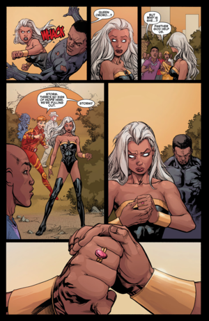  Avengers vs. X-Men #2: Storm vs T'Challa_8