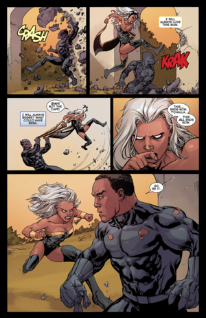  Avengers vs X-Men #2: Storm vs T'Challa_6