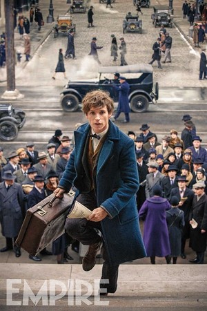  Fantastic Beasts and Where to Find Them - NEW image