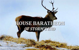  House Baratheon
