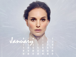  NP.COM Calendar - January 2016
