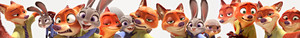  Nick and Judy Banner