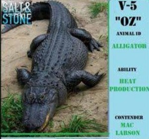  Oz the alligator