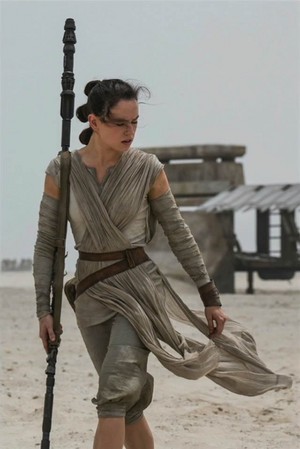  Rey,SW:The Force Awakens