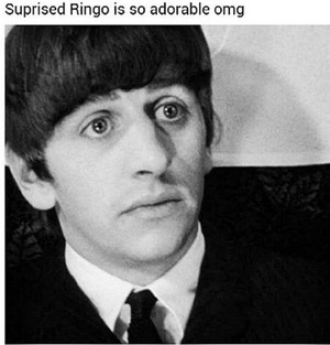  Ringo Starr