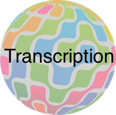  Transcription