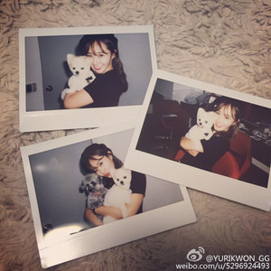  Yuri Weibo Update