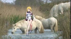 Charlotte Dunois with an beautiful herd of wild camargue horses
