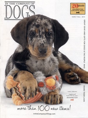 Cover In The Company Of Dogs Fall 2015 