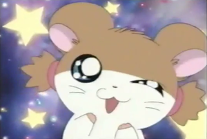  Cute hamster anime