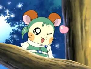  Cute hamster anime