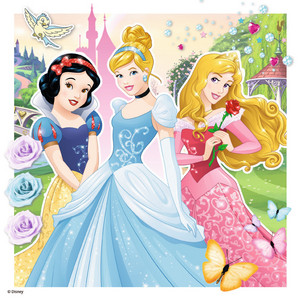  डिज़्नी Princesses