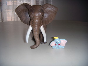  Dumbo e l'elefante africano.JPG