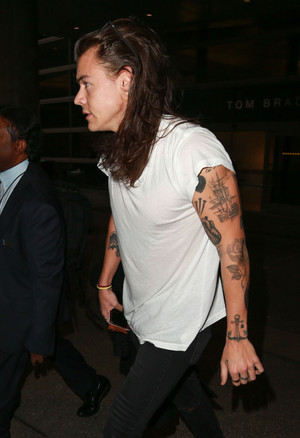  Harry Arriving on a Flight at LAX