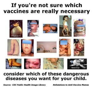 If you're not sure which vaccines are necessary...