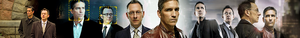  John Reese and Harold chim hoa mai, chim ưng, finch banner for bouncybunny3