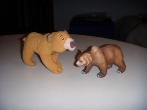  Kenai e l'orso grizzly.JPG