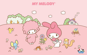  My Melody 壁纸