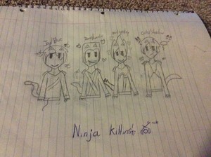  Ninjago kitties