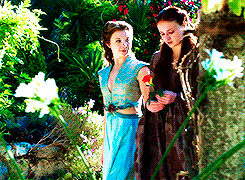  Sansa Stark + 花