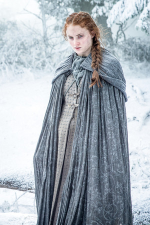  Sansa Stark- Season 6