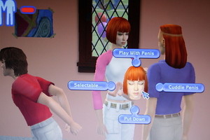  Sims
