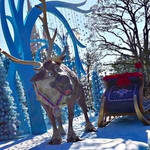  Tokyo Disney Resort: Frozen Fantasy 2016